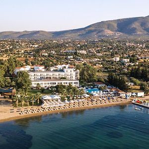 Brown Beach Eretria